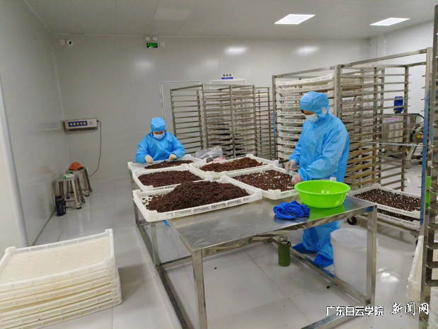 图片 10.png 图片 10.png